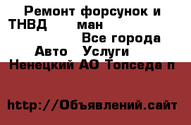 Ремонт форсунок и ТНВД Man (ман) TGA, TGL, TGS, TGM, TGX - Все города Авто » Услуги   . Ненецкий АО,Топседа п.